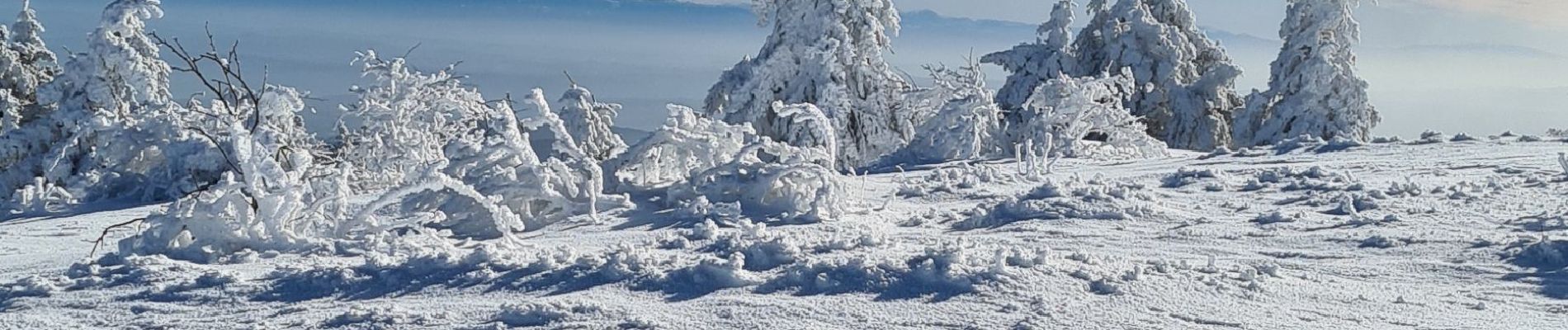 Excursión Raquetas de nieve Véranne - crets de l'oeillon - Photo