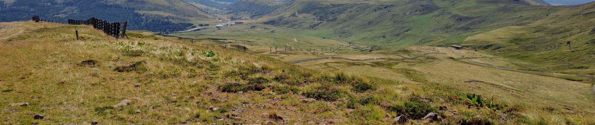 Tocht Stappen Albepierre-Bredons - boucle plomb du cantal du col de prat de bouc - Photo