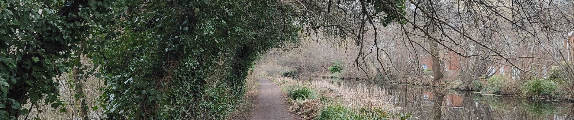 Tocht Stappen Woking - Lac de Goldsworth park par le canal  - Photo