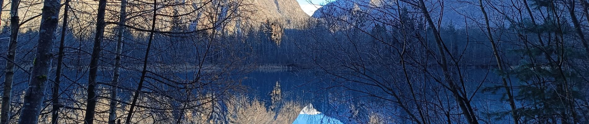 Excursión Senderismo Le Bourg-d'Oisans - Lac de Buclet et cascade de la Pisse - Photo