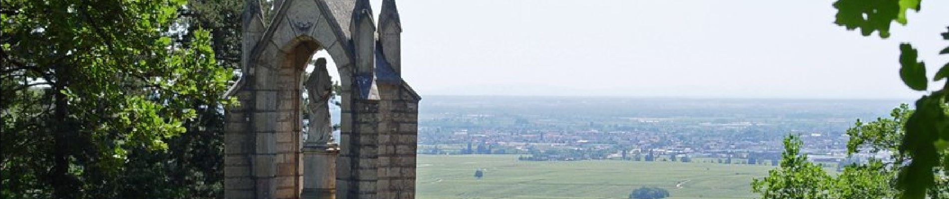 Randonnée A pied Pernand-Vergelesses - Tour de la Butte de Corton - Photo