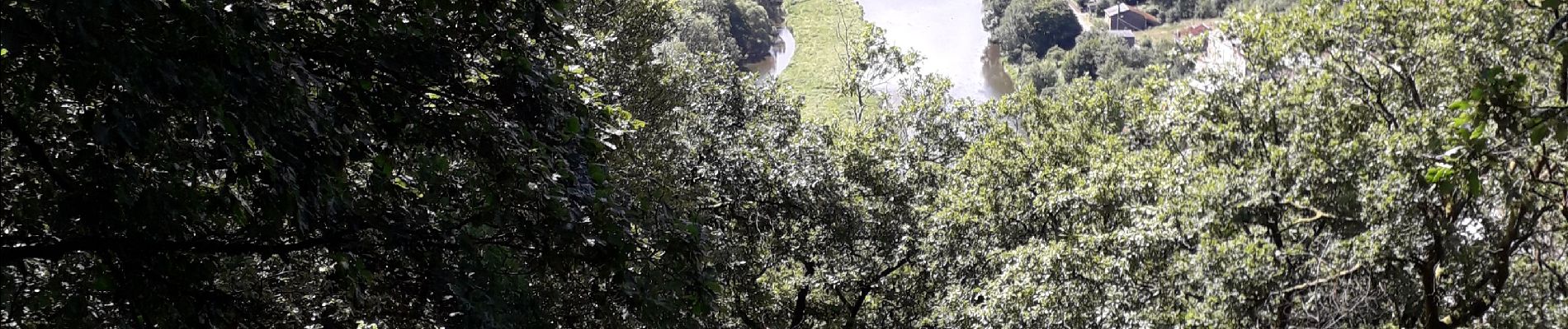 Tour Wandern Bouillon - rochehaut 180620 - Photo