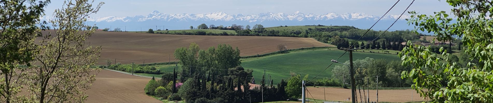 Tour Wandern Muret - SityTrail - Via garona depuis Muret 24/04/2021 - Photo