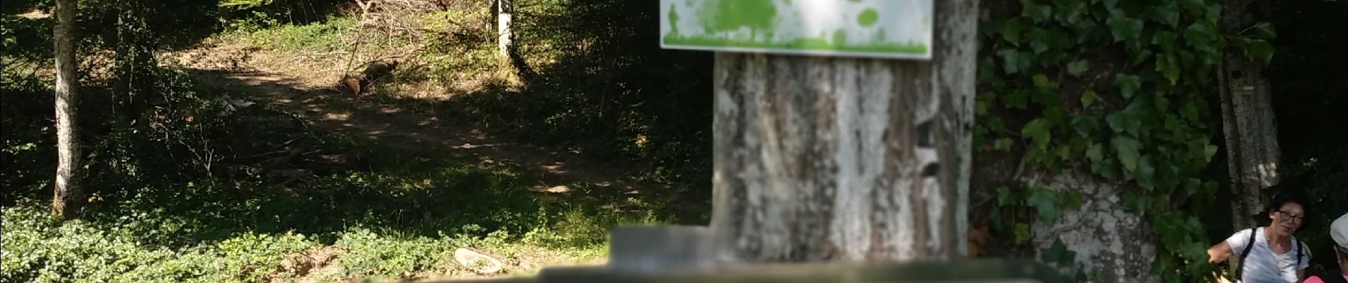 Tour Wandern Bouilly - Forêt de Laines aux Bois - Photo