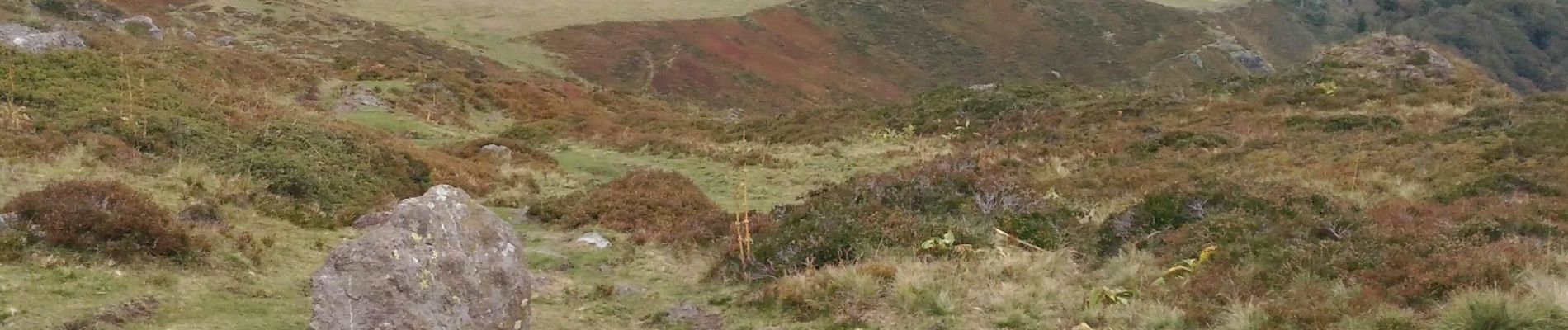 Excursión Senderismo Le Falgoux - Randonnée en aller -retour du Pas de Peyrol à la brèche d'Enfloquet - Photo