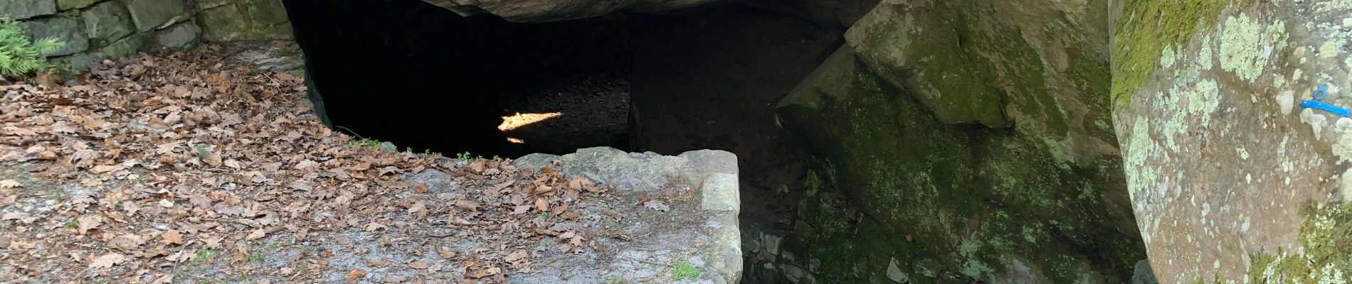 Point of interest Fontainebleau - Grotte du serment  - Photo