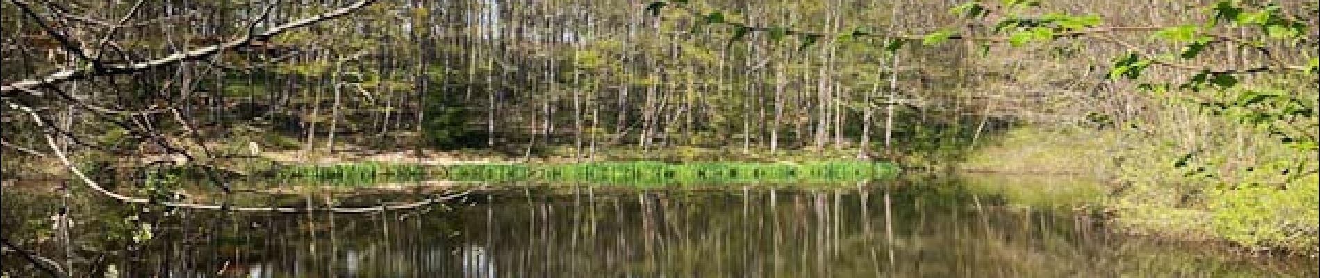 Point d'intérêt Notre-Dame-de-Boisset - Etang Briais - Photo