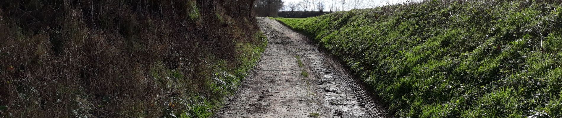 Tour Rennrad Watermael-Boitsfort - Watermaal-Bosvoorde - 2020.03.12.V - Photo