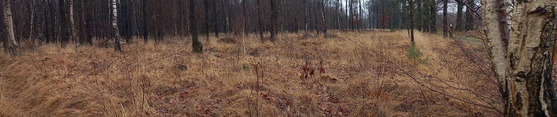 Tocht Stappen Retie - Une journée en boucle à patir de Retie - Photo