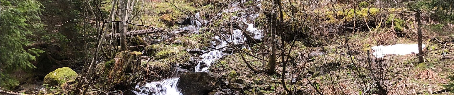 Trail Walking Chamrousse - Lac des Pourettes - Photo