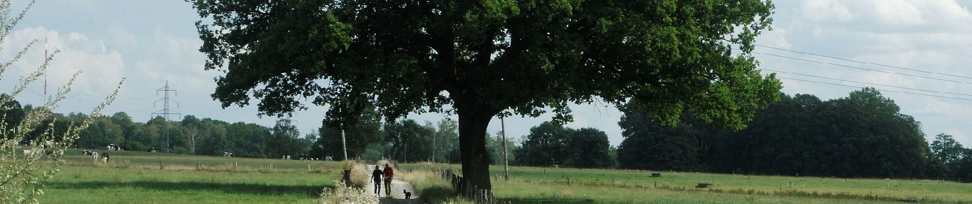 Randonnée A pied Aix-la-Chapelle - Forsthausrundweg - Photo