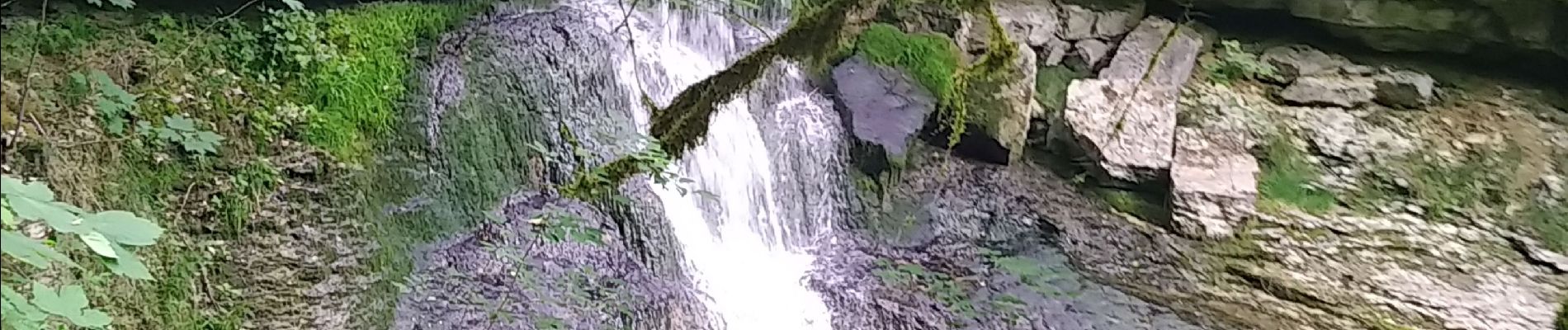 Tour Wandern Coteaux du Lizon - les gorges du lison - Photo