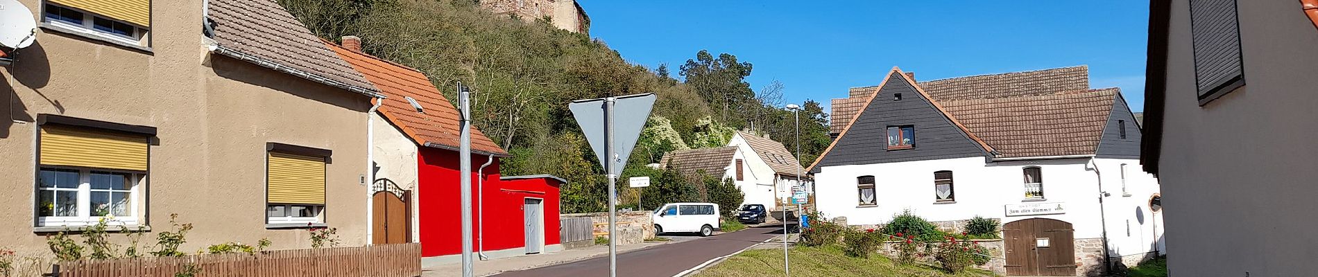 Percorso A piedi Gerbstedt - Rund um Friedeburg - Photo