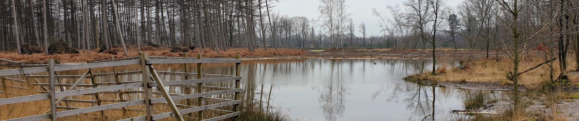 Tocht Stappen Maldegem - Drongengoedbos - Photo