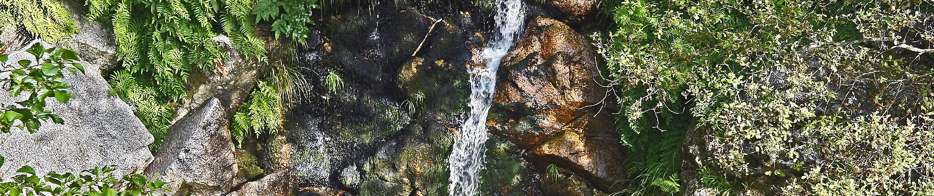 Percorso A piedi U. F. Seia, São Romão e Lapa dos Dinheiros - Rota da Caniça - Photo