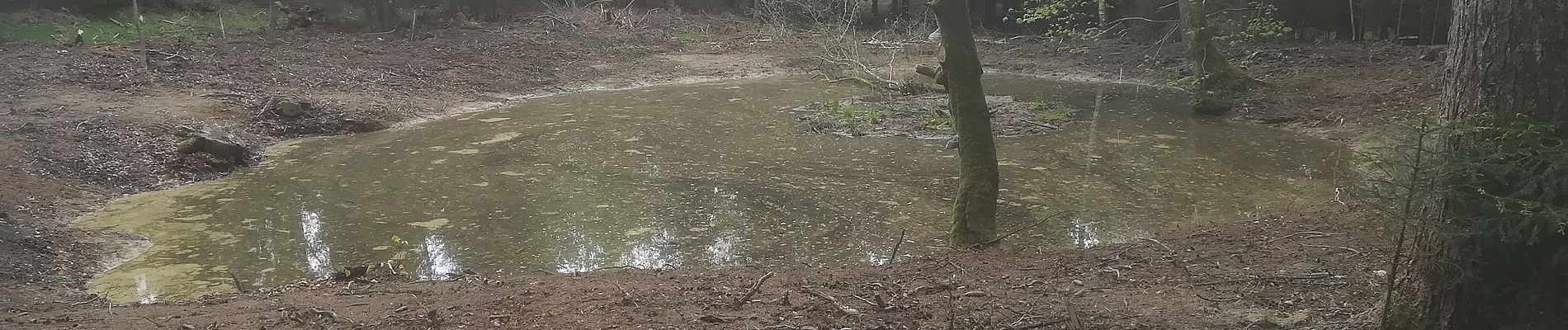 Percorso A piedi Gomadingen - SAV Nebenweg Heidenheim - Heldenfingen - Langenau - Photo