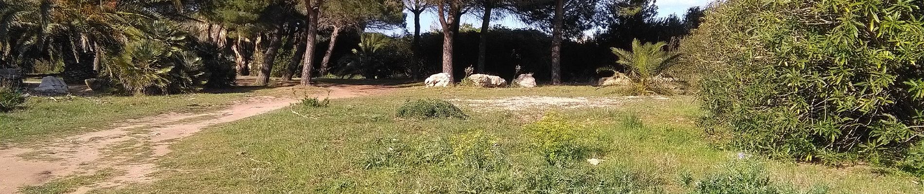 Percorso A piedi Alghero - sentiero giallo - Photo