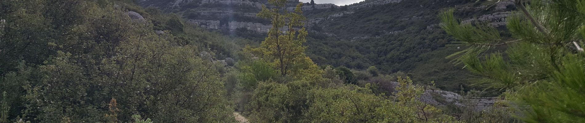 Randonnée Marche Allauch - Parc de Pichauris - Garlaban - Photo