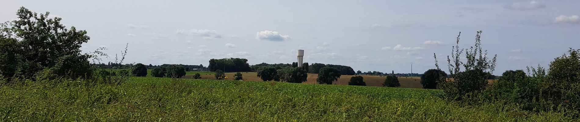 Tocht Stappen Borgworm - Waremme - Rocourt  - Photo