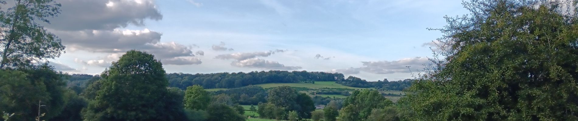 Randonnée Marche Theux - campagne sud de la reid  - Photo