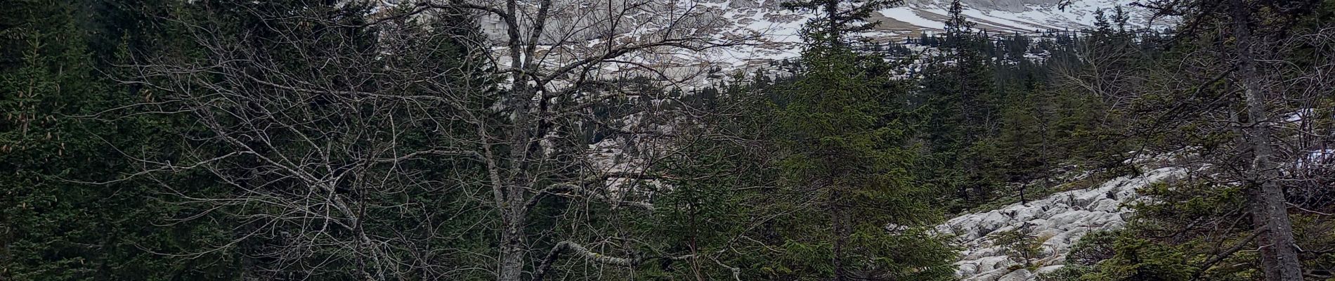 Tour Wandern Villard-de-Lans - Le lac du clos du prey - Photo