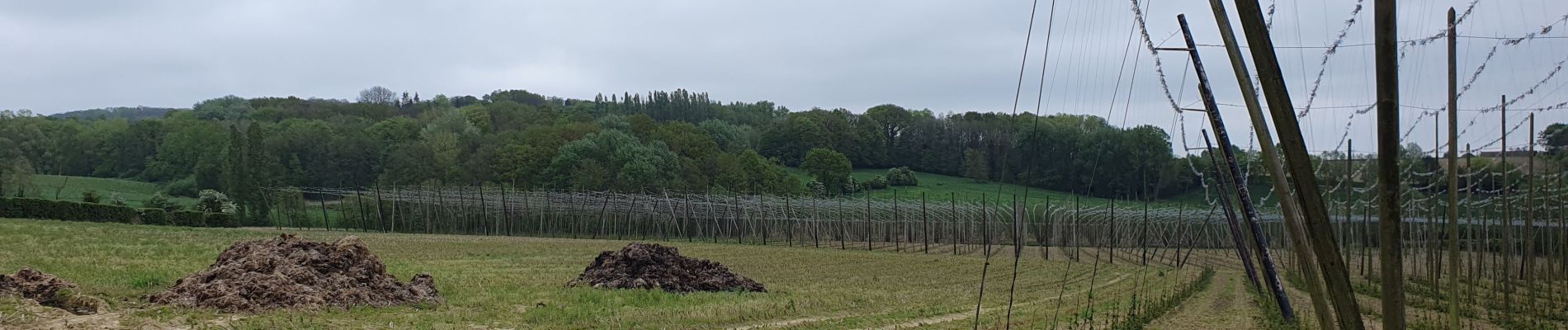 Randonnée Marche Berthen - mont noir  - Photo