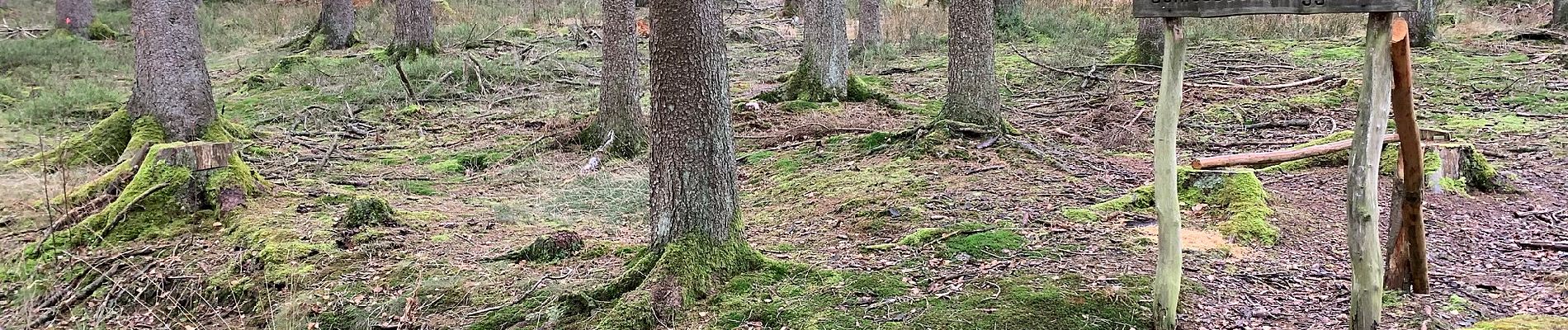 Tocht Te voet Roetgen - Kall-Rur-Panorama-Route - Photo