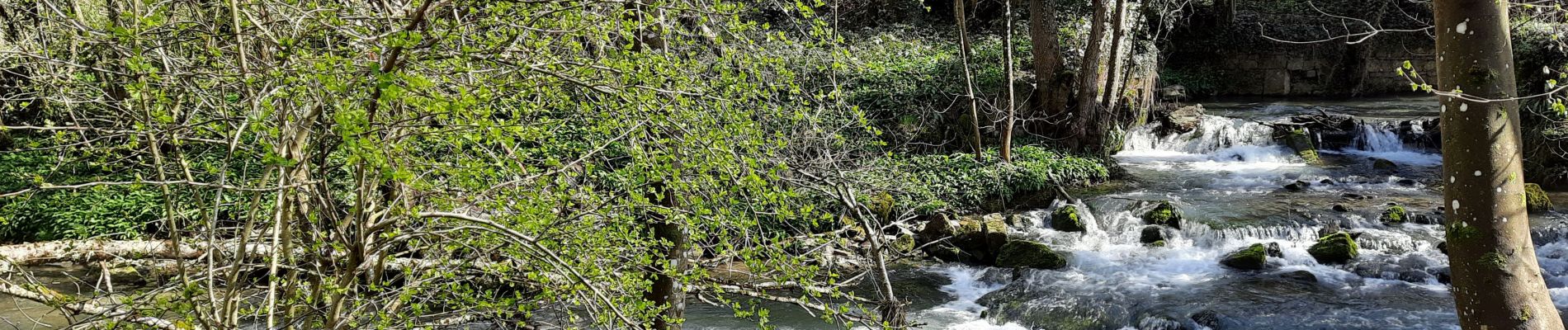 Tour Wandern Tinlot - Promenade du Hoyoux  - Photo