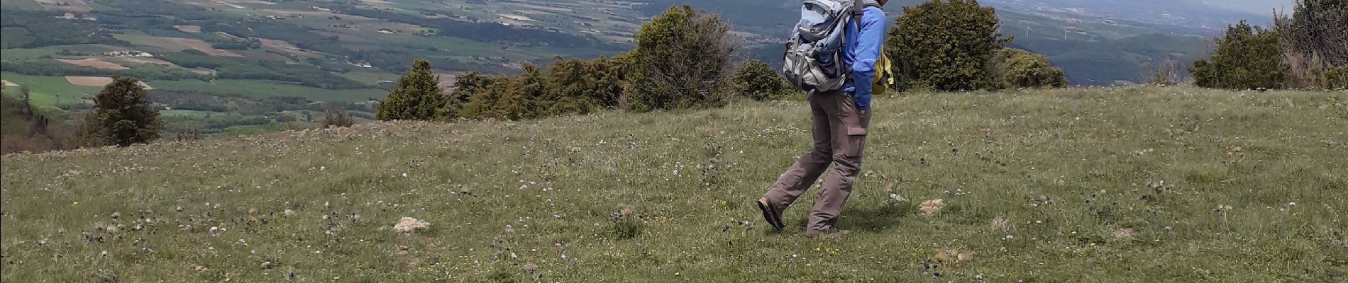 Tour Wandern Montjoyer - 06 05 21 - Photo