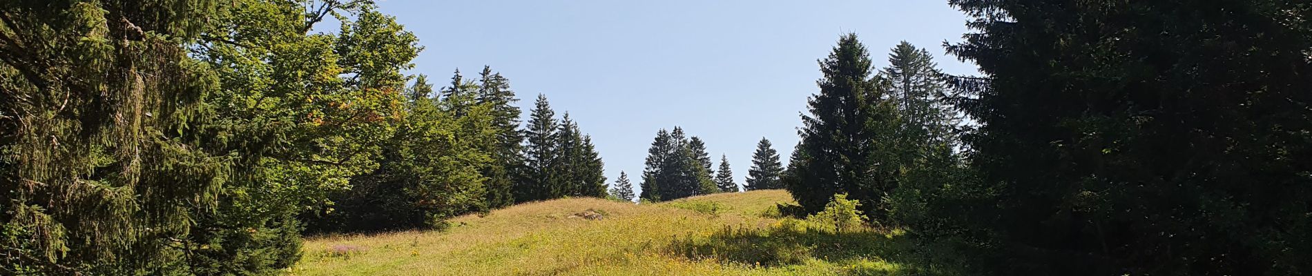 Tocht Stappen Septmoncel les Molunes - Septmoncel - Le sentier des chamois  - Photo