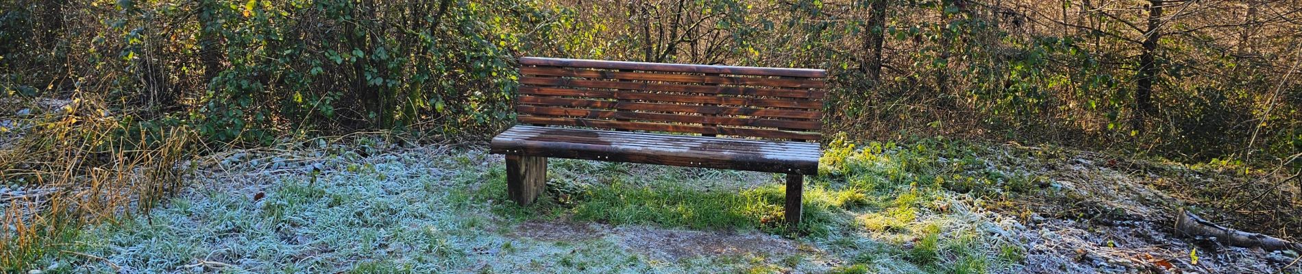 Randonnée Marche Gedinne - Balade à Patignies - Gedinne - Photo