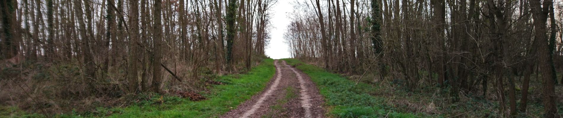 Percorso Marcia Saint-Georges-sur-Cher - Saint-Georges-sur-Cher - Vallée Pitrou et Moulins - 6.9km 65m 1h35 - 2023 12 27 - Photo