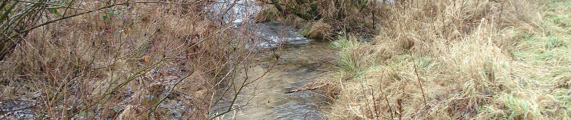 Tocht Te voet Frammersbach - Ortswanderweg Frammersbach 1 - Photo