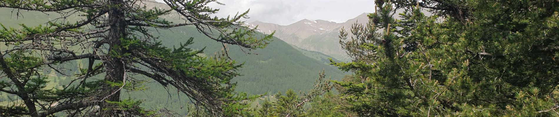 Tocht Stappen Saint-Paul-sur-Ubaye - tiurnoux - Photo