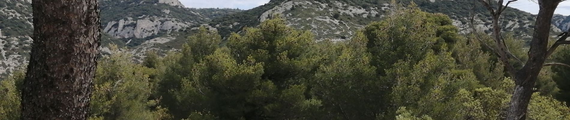 Trail Walking Cheval-Blanc - les gorges du regalon - Photo