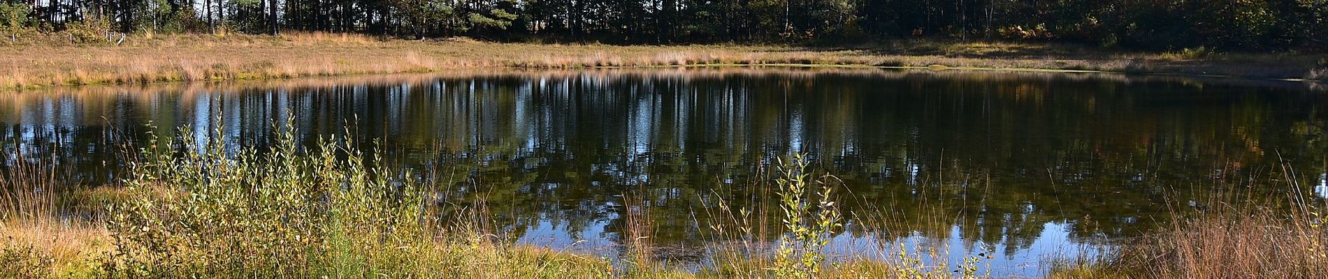 Percorso A piedi Beringen - Koersels Kapelleke Rode driehoek - Photo