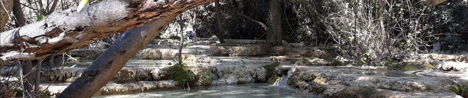 Trail Walking Lauret - lac de Matane / moulin de la Fous - Photo