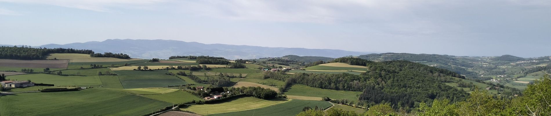 Randonnée Marche Saint-André-la-Côte - 69-st-andre-la cote-mattiole-20km-640m-mai22 - Photo