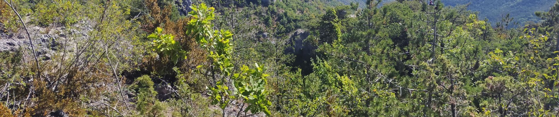 Trail Walking Le Rozier - le Rozier rocher capluc - Photo