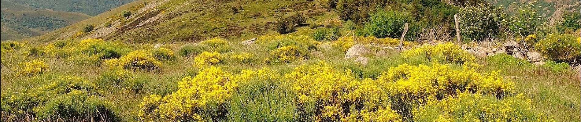 Randonnée Marche Vallées-d'Antraigues-Asperjoc - Le Mazoyer 13km. - Photo