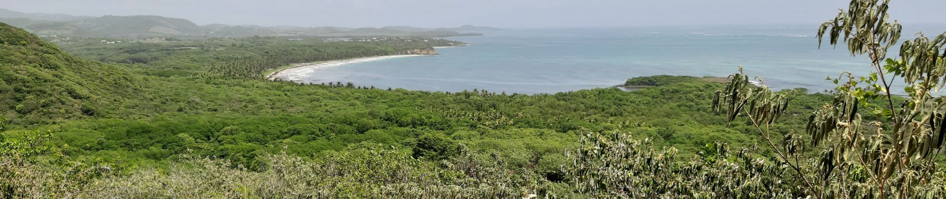 Excursión Senderismo Le Vauclin - Boucle Macabou via Morne Etoile - Photo