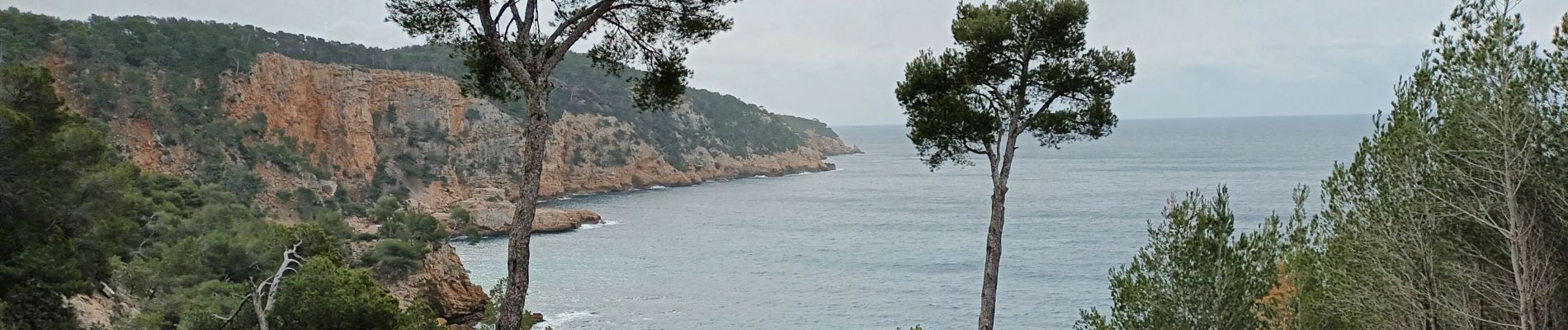 Tour Wandern Saint-Cyr-sur-Mer - Dune de sable-St Cyr sur Mer-11-03-22 - Photo