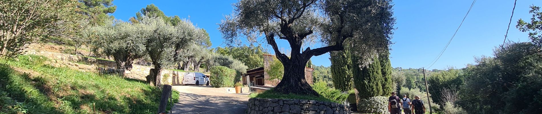 Randonnée Marche Fayence - fayence vallon de la camandre - Photo