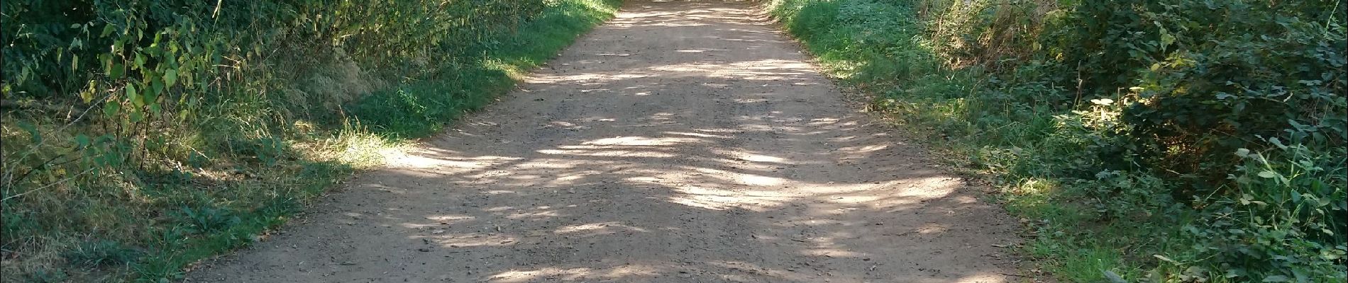 Randonnée Marche Volvic - Egaules, Puy des Gouttes  - Photo