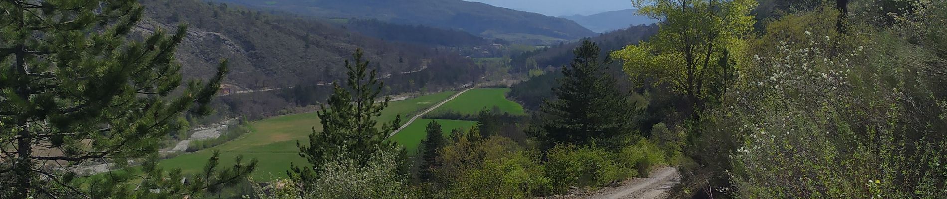 Tour Wandern Noyers-sur-Jabron - Boucle Jarjaye - Piedguichard - Photo