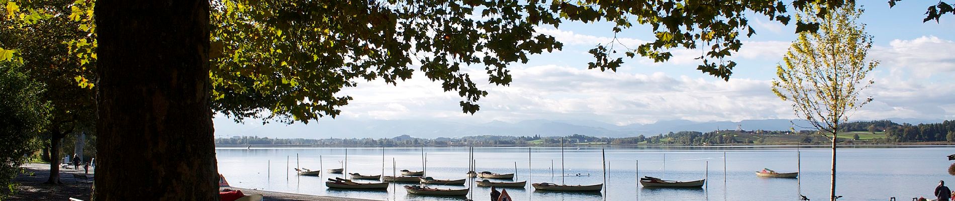 Tocht Te voet Pfäffikon - Pfäffikersee-Rundweg - Photo