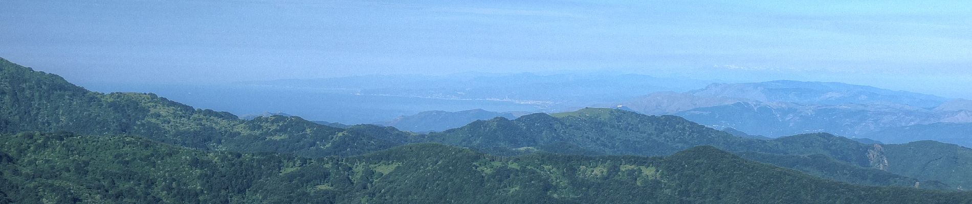 Tour Zu Fuß Carrega Ligure - Capanne di Carrega - Passo della Maddalena - Photo