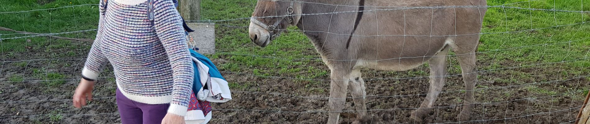 Tocht Stappen Vesly - Vesly - Guerny - Authevernes - Photo