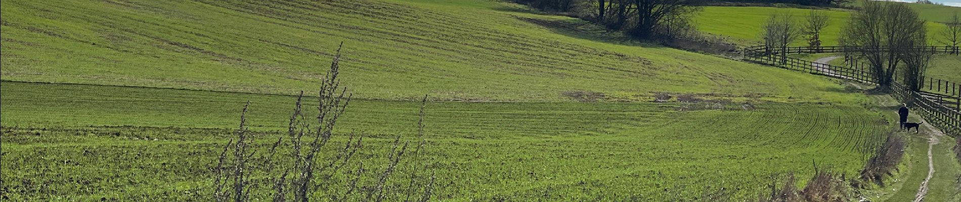 Tour Wandern Lasne - Couture saint germain etc…26 février 2023 - Photo