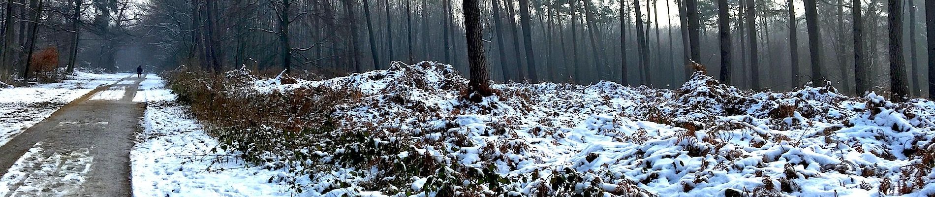 Trail On foot Ratingen - Angerland Rundweg A4 - Photo